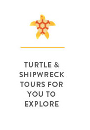 turtle & shipwreck tours for you to explore